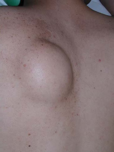 ���b��`���O�ȓI��p�摜